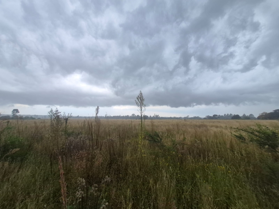 0 Bedroom Property for Sale in Vaalpark Free State